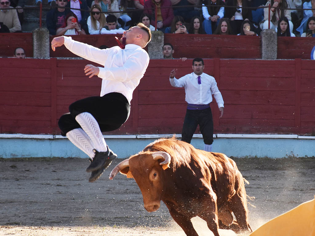 El cortador segoviano Javier Manso ‘Balotelli’, durante una exhibición. / A.M.