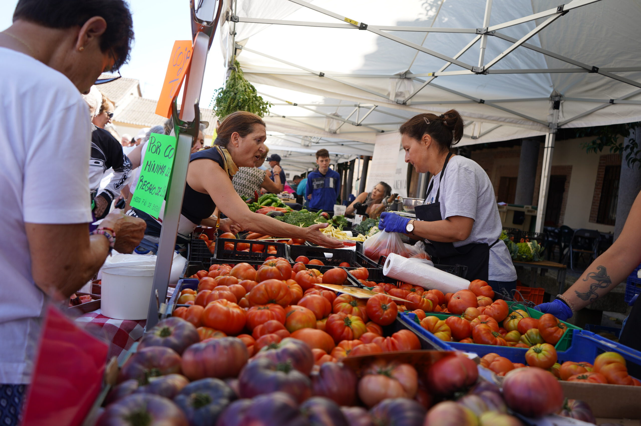 Fotografía de ediciones anteriores de la Feria del Tomate / E.A.