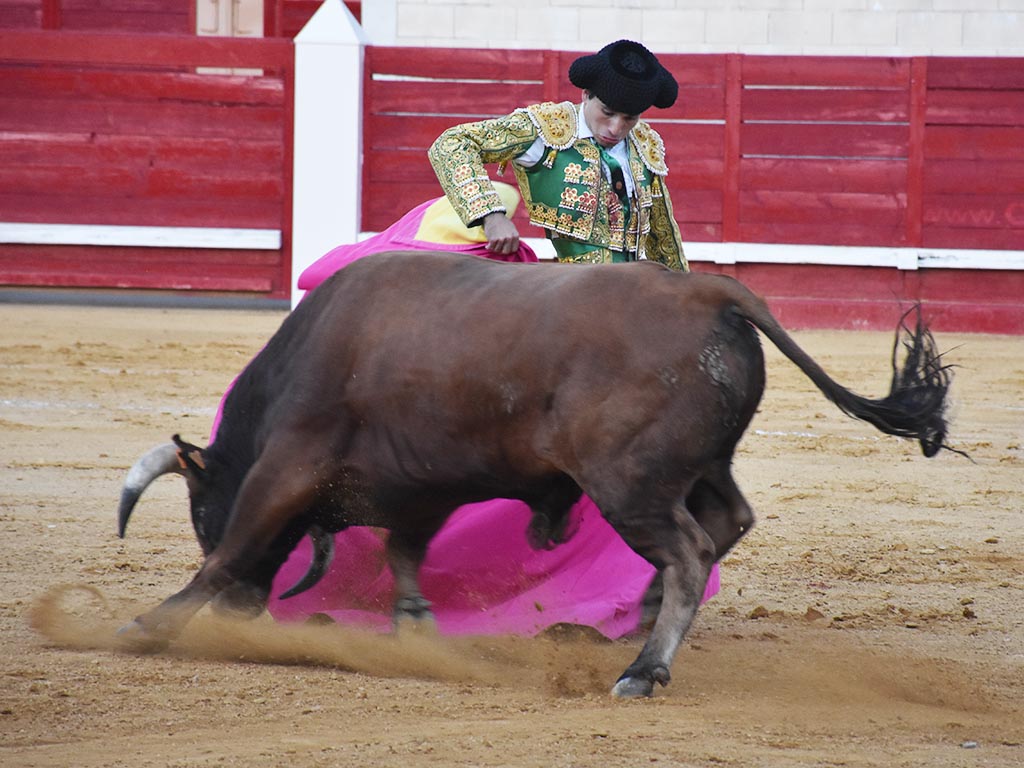 Cantalejo Eusebio Fernandez Cantalejo Eusebio Fernandez
