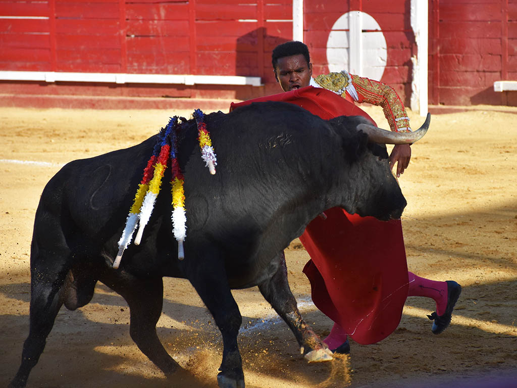 Cantalejo Igor Pereira Cantalejo Igor Pereira