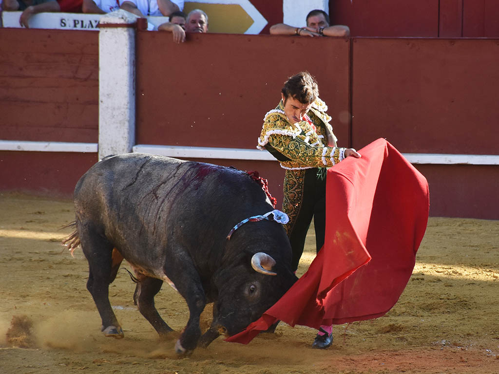 Cuellar Fernando Robleño