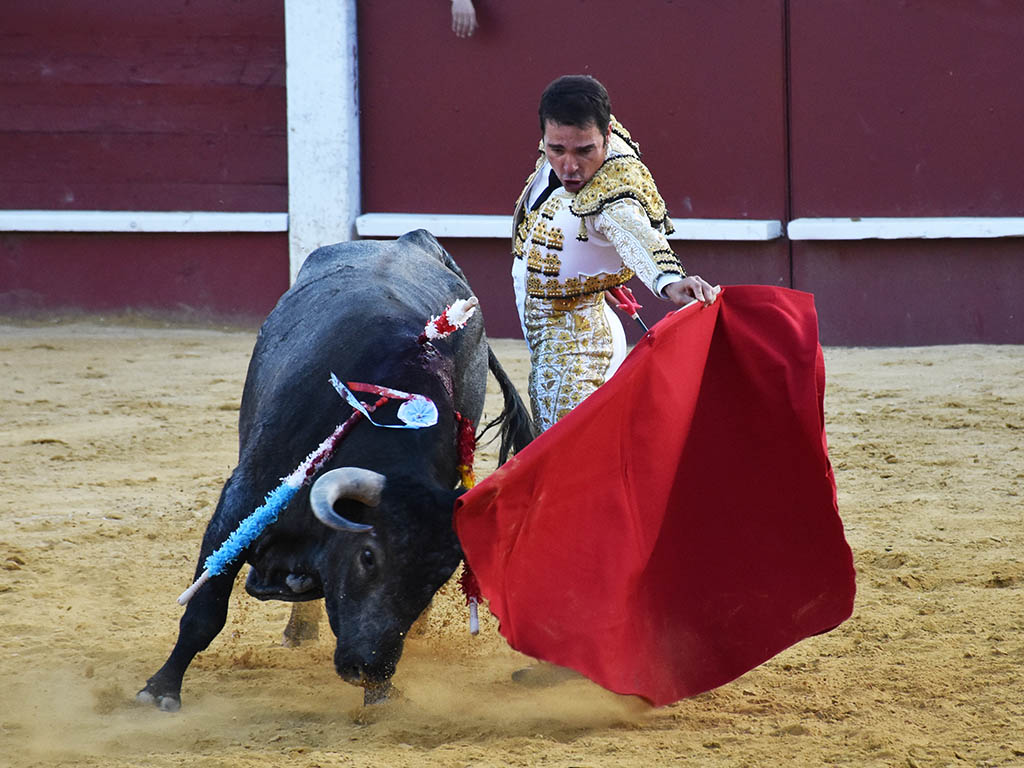 Cuellar Javier Herrero