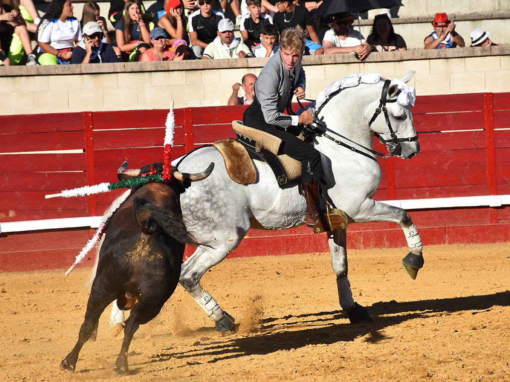 Duarte Fernandes Duarte Fernandes