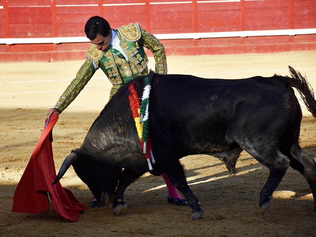 Eusebio Fernandez Eusebio Fernandez