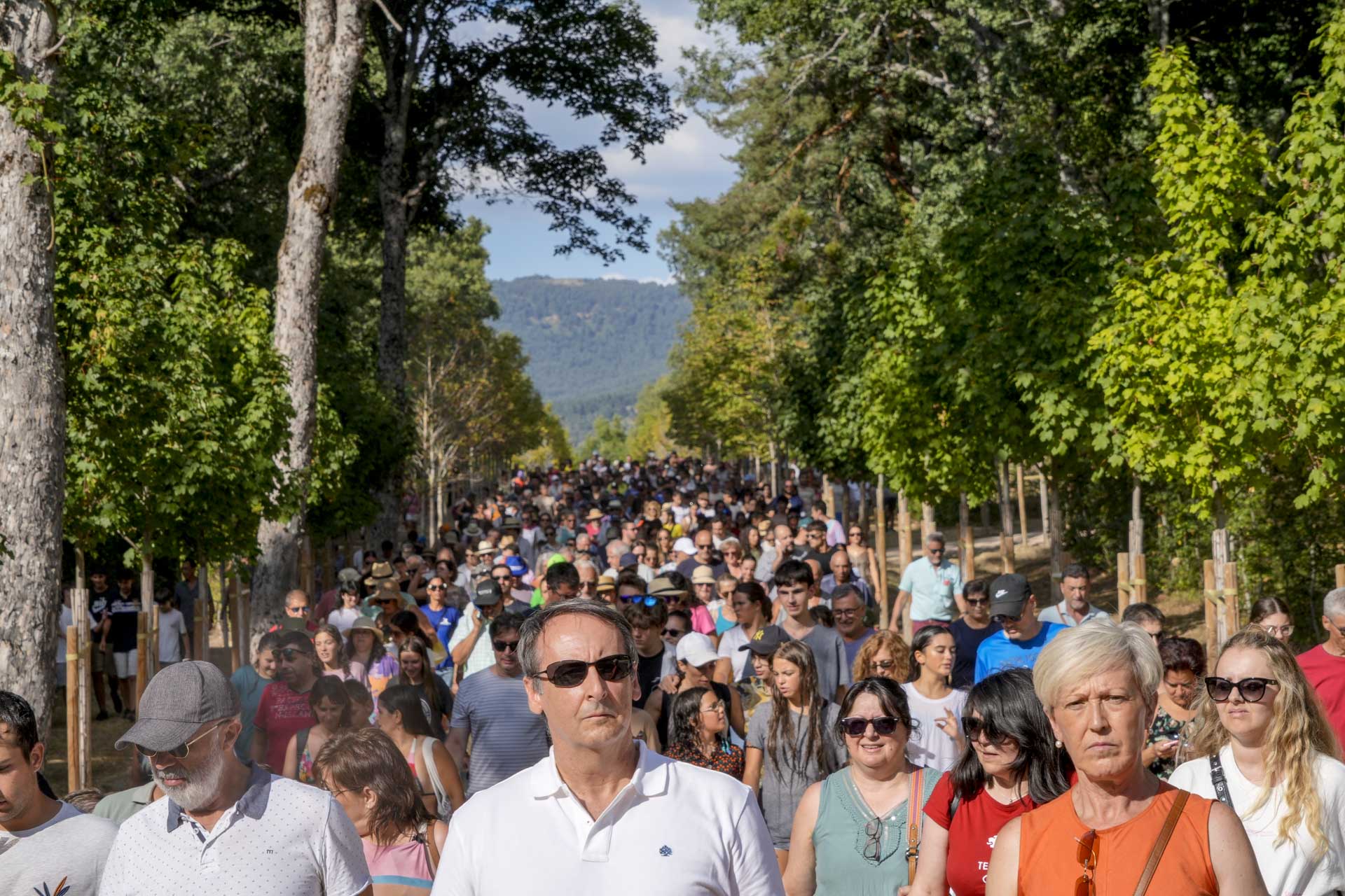 Fuentes Jardin Real La Granja por San Luis Fuentes Jardin Real La Granja por San Luis