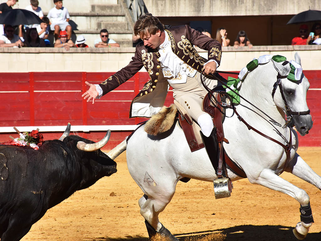 Rui Fernandes Rejoneador Rui Fernandes Rejoneador