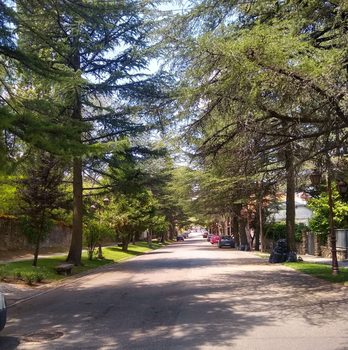 Paseo Rivera de San Rafael / E.A.