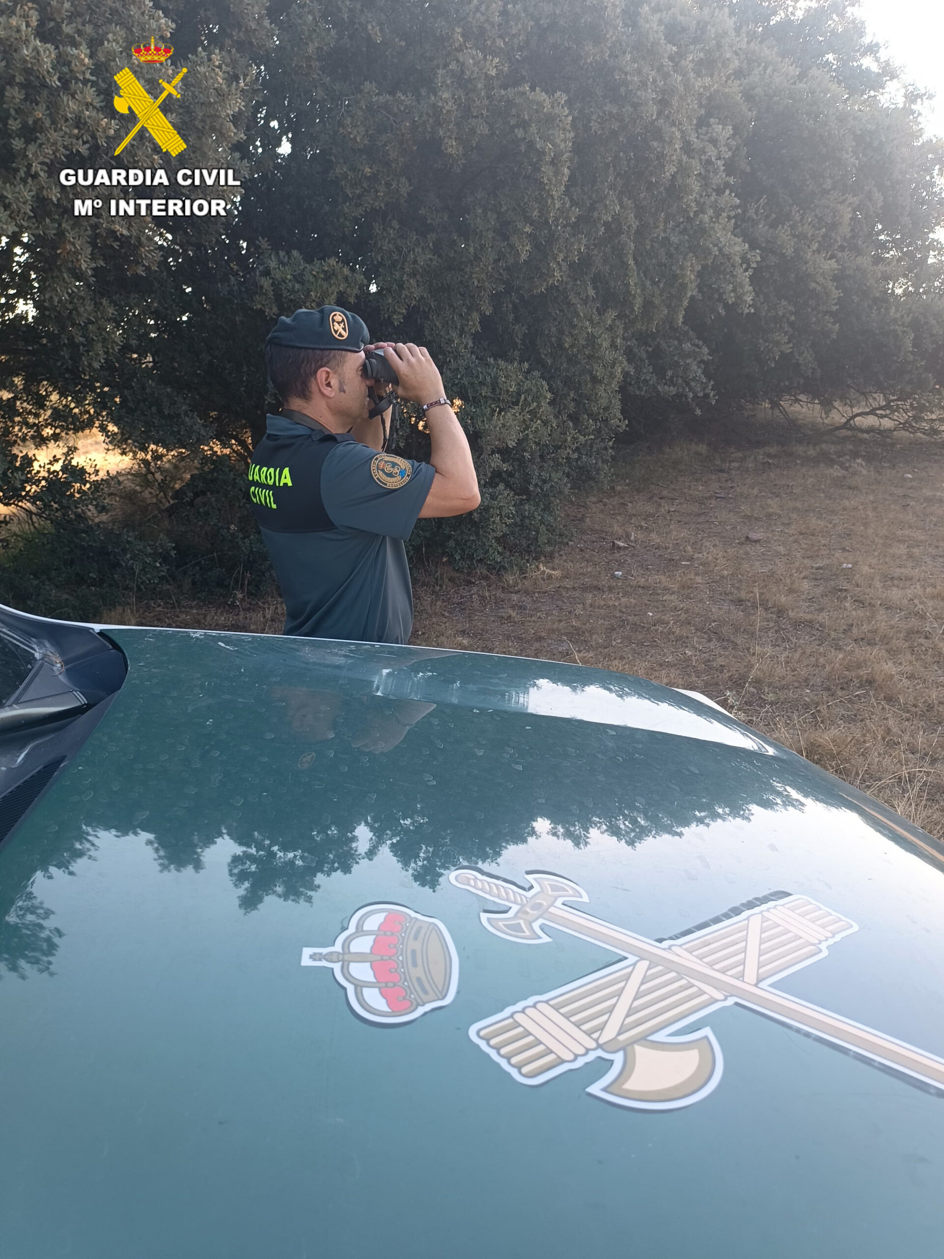 Detención de dos cazadores furtivos por parte de Guardia Civil / GUARDIA CIVIL