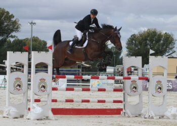 Pablo Moralejo, montando a ‘Flamenco JGF’, durante un salto. / FEDERACIÓN