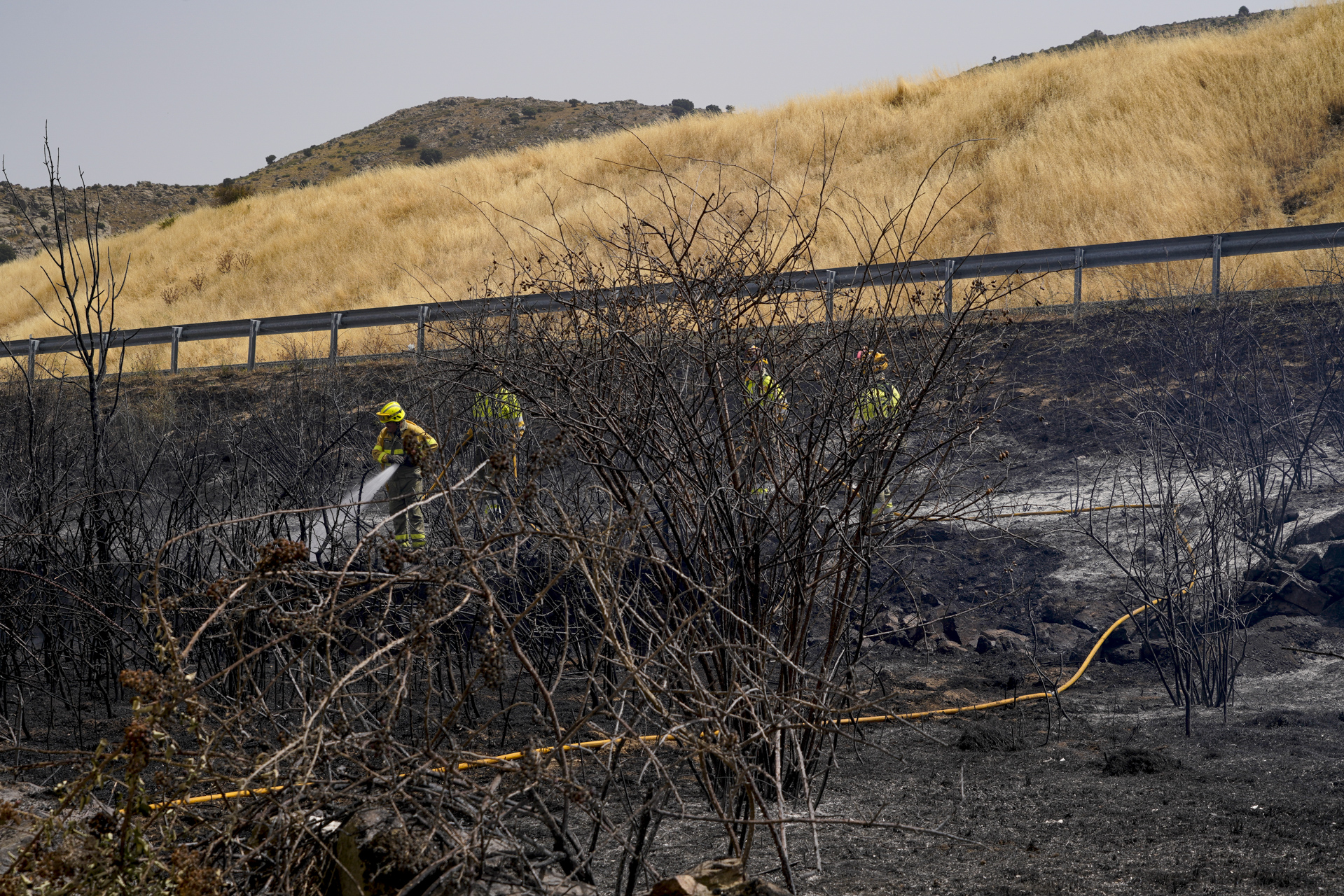 Operarios de la Junta de Castilla y León apagando un incendio al lado de la carretera en Otero de Herreros. EL ADELANTADO.