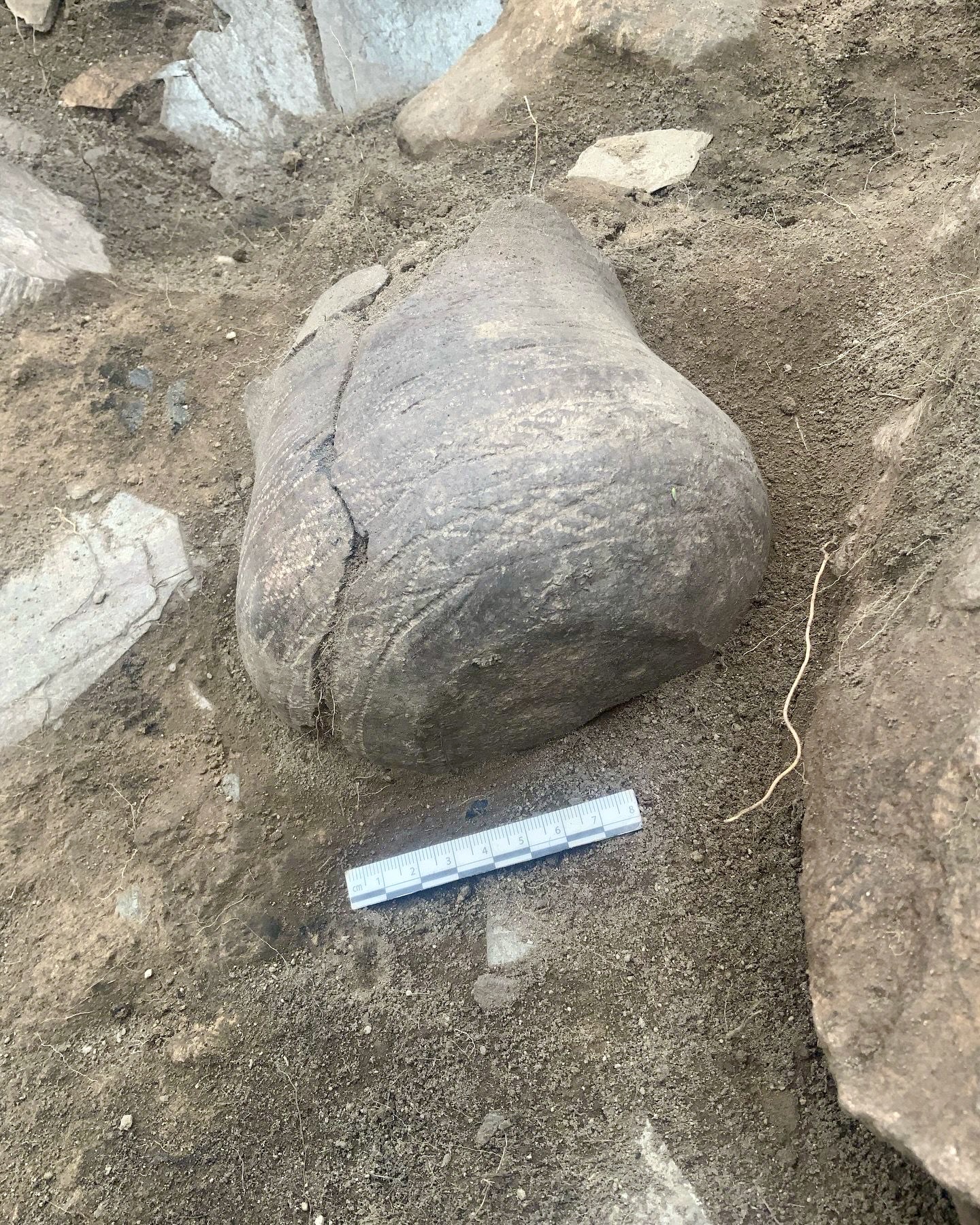 Restos del pasado vacceo de Armuña 4 2