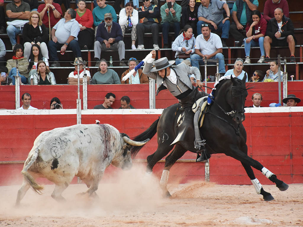 El extremeño Adrián Venegas, con uno de los astados de la ganadería portuguesa de Couto de Fornilhos. / A.M.