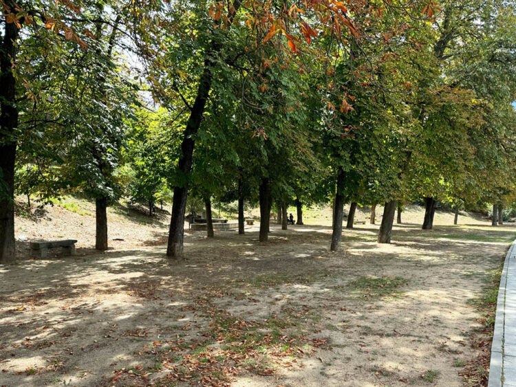 Ciudadanos pide adecuar el mobiliario urbano en la Alamedilla del Conejo 1 Alamedilla del Conejo