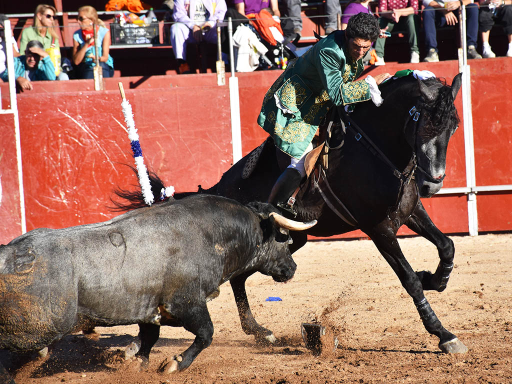 El rejoneador portugués Paulo Jorge Santos, con el primer novillo de la tarde en Ayllón. / A.M.