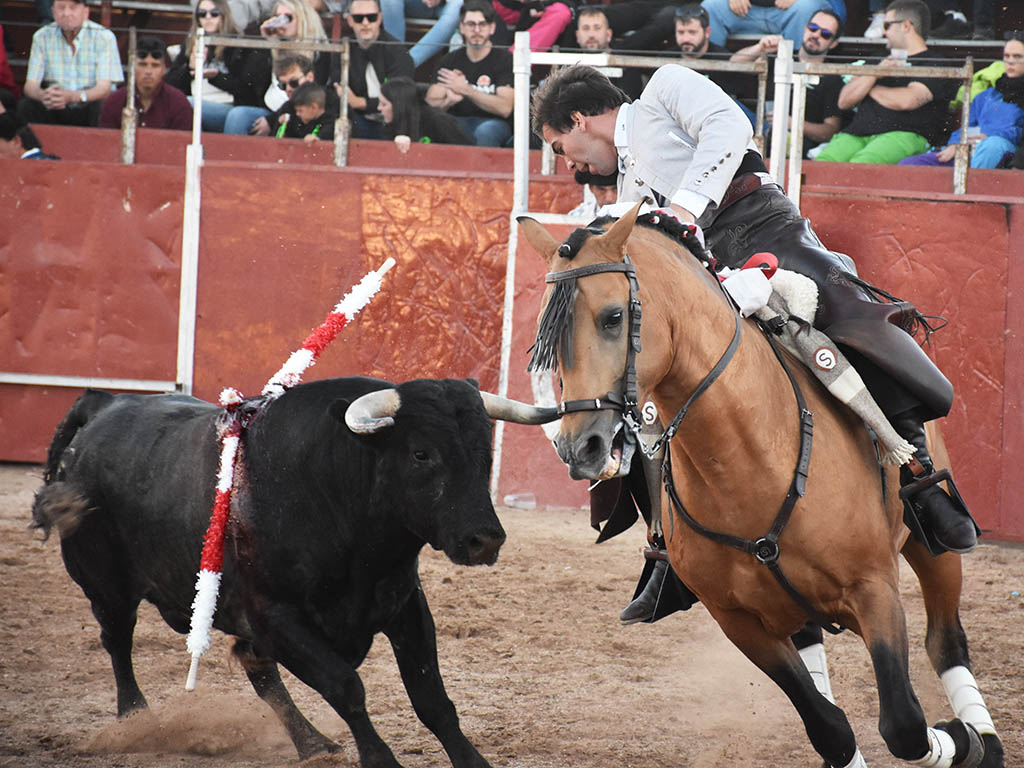 Sebastián Fernández, con uno de los novillos de Saltillo. / A.M.