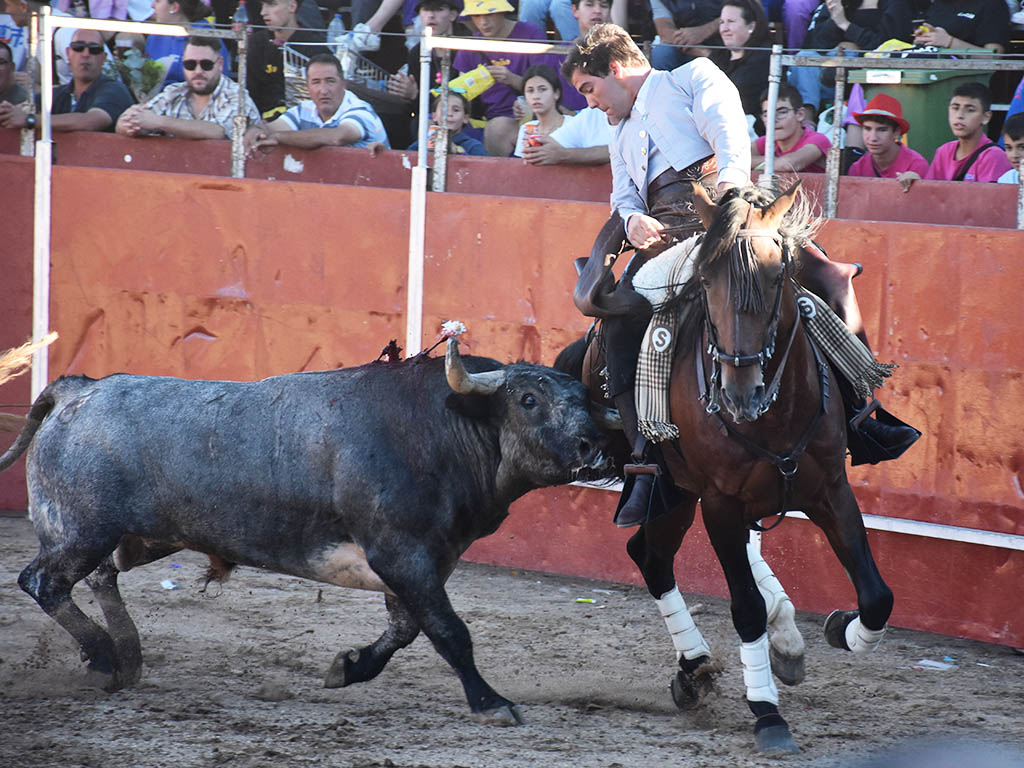 Un astado de Saltillo alcanza a un caballo de Sebastián Fernández. / A.M.