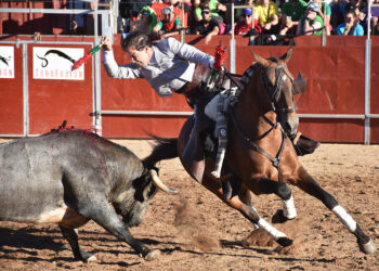 El rejoneado granadino Sebastián Fernández, con uno de los astados de Saltillo en la plaza de toros de Ayllón. / Alejandro Martín