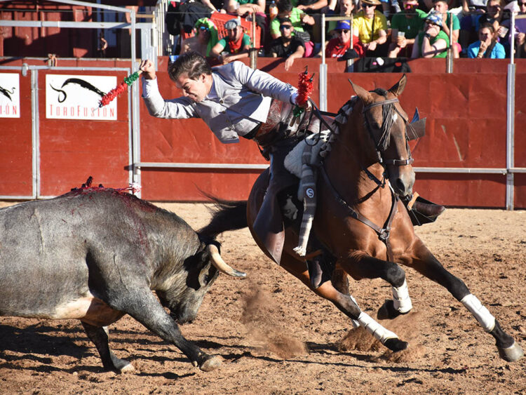 El rejoneado granadino Sebastián Fernández, con uno de los astados de Saltillo en la plaza de toros de Ayllón. / Alejandro Martín
