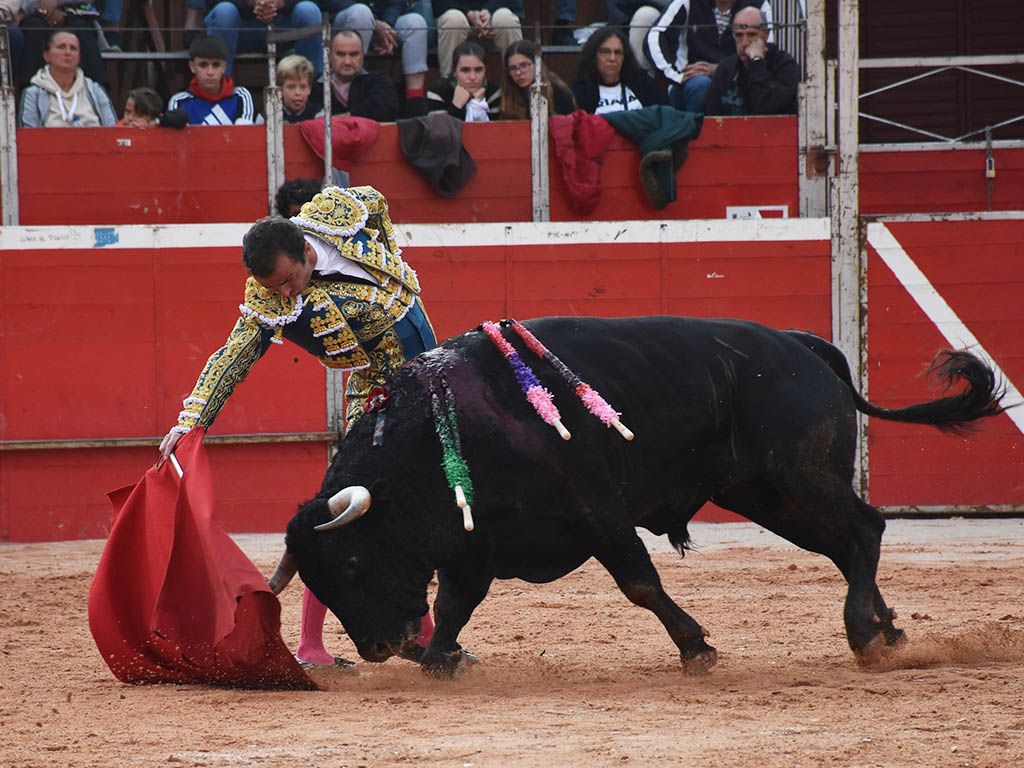 Damián Castaño, con el toro de Valdellán. / A.M.