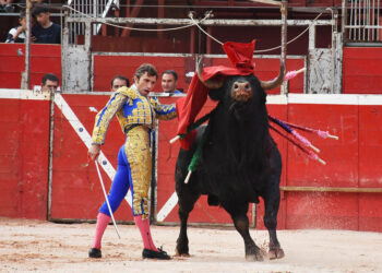 Pase de pecho de Fernando Robleño al toro que lidió de la ganadería de Valdellán en Riaza. / A.M.