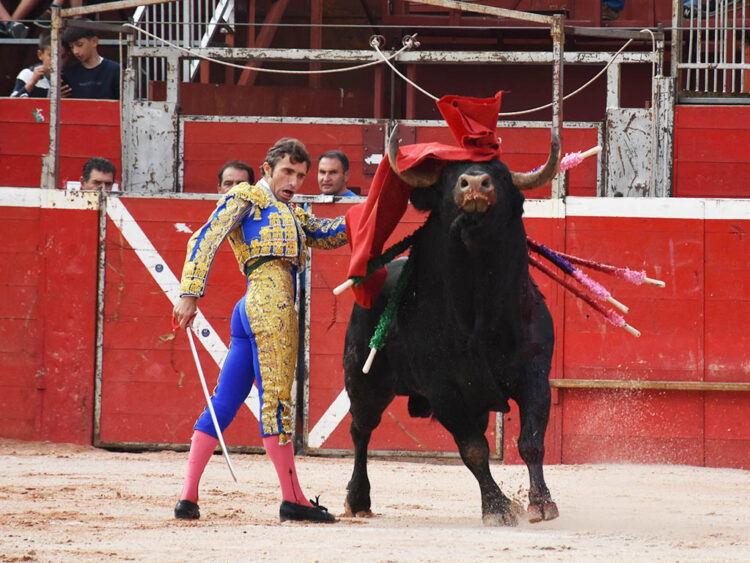 Pase de pecho de Fernando Robleño al toro que lidió de la ganadería de Valdellán en Riaza. / A.M.