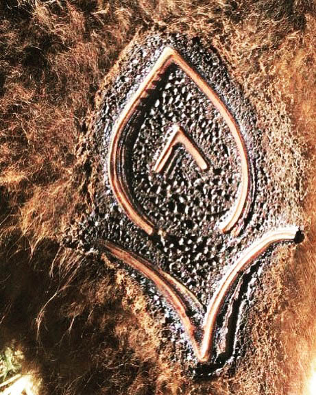 La ganadería segoviana de Flor de la Canela debuta en San Martín de Valdeiglesias 1 Hierro de Flor de la Canela. / FINCA SERRANILLO