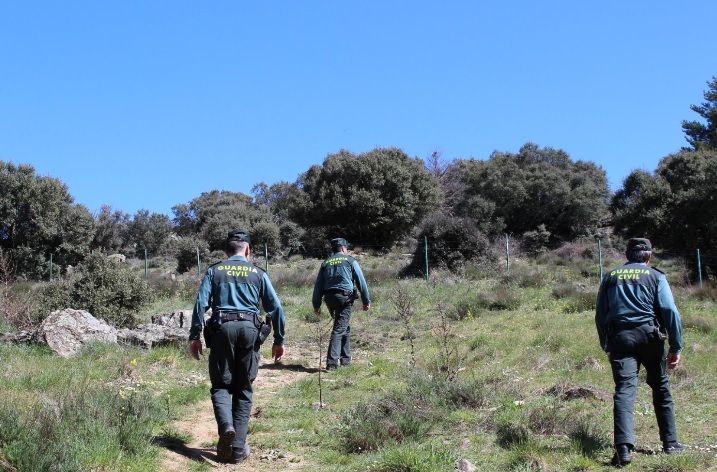 Guardia Civil trabajando en un dispositivo de búsqueda Guardia Civil trabajando en un dispositivo de búsqueda