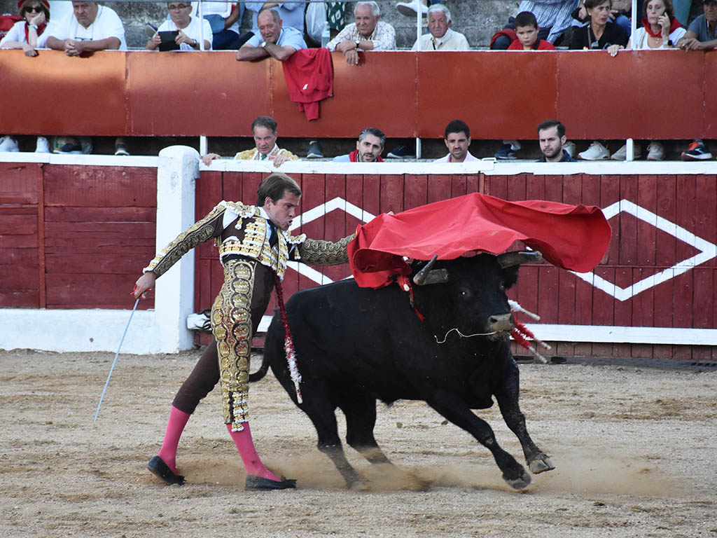 Javier Cortés, toreando a uno de los astados de la divisa de Luis Albarrán. / A.M.