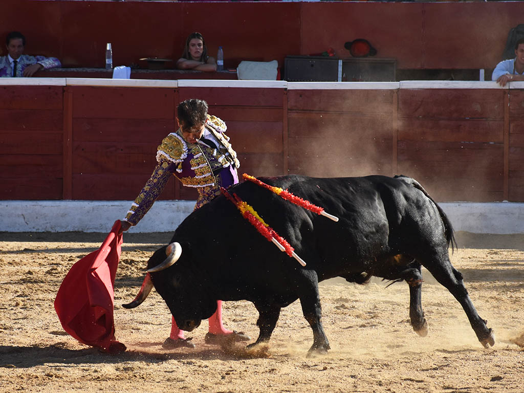 Adame demostró oficio en el coso navero. / A.M.