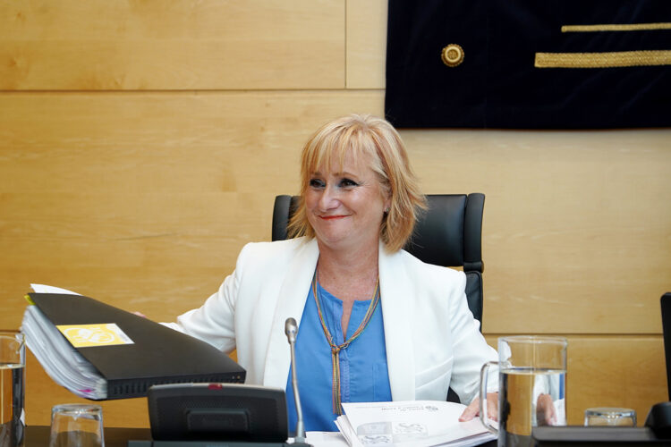 Industria pondrá en marcha una estrategia para ayudar al comercio minorista 1 La Consejera de Industria informa sobre su programa en las Cortes. / Miriam Chacón