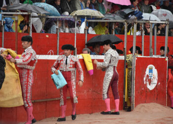 La lluvia obliga a aplazar el festejo taurino de Riaza. / A.M.