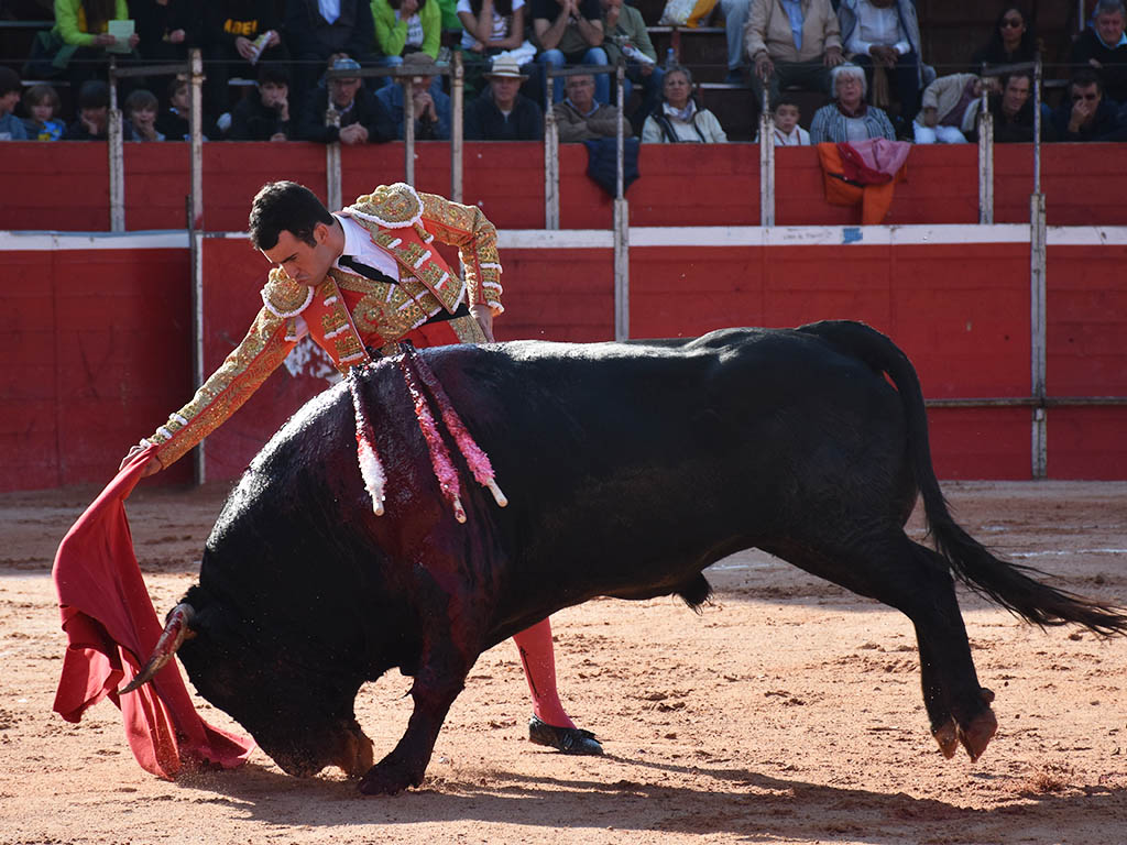 Mario Arruza, con uno de los utreros de la ganadería de Dolores Aguirre./ A.M.