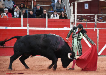 Natural de Miguel Andrades, a un novillo de Dolores Aguirre en Riaza. / A.M.