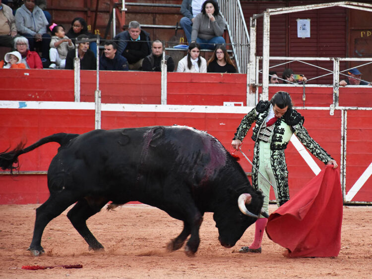 Natural de Miguel Andrades, a un novillo de Dolores Aguirre en Riaza. / A.M.