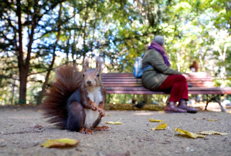 Para los próximos días se prevé inestabilidad y chubascos. - Miriam Chacón