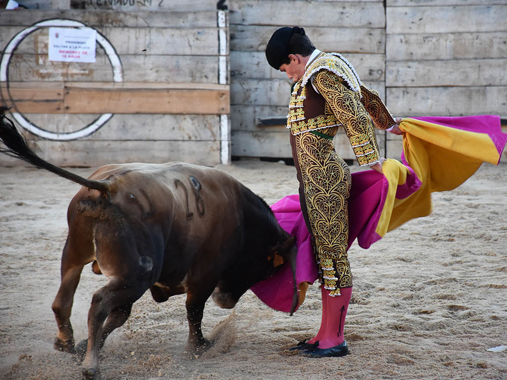 Quite de Jorge Oliva. / A.M. Quite de Jorge Oliva. / A.M.