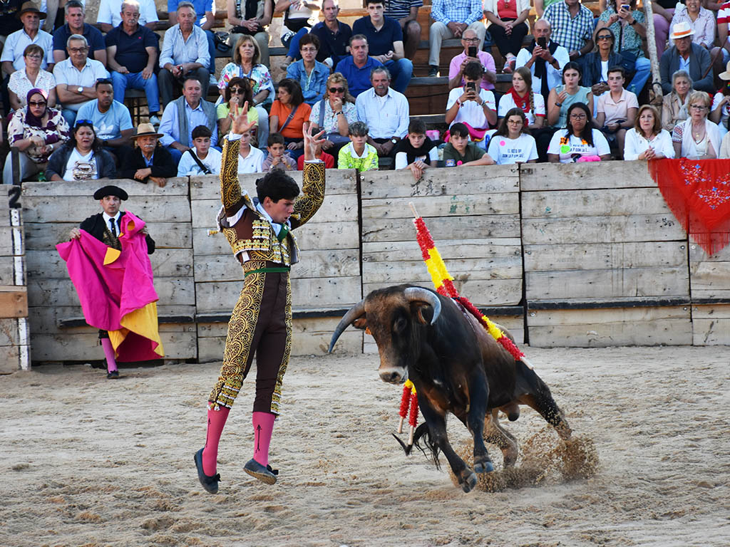 Pedraza Oliva Pedraza Oliva