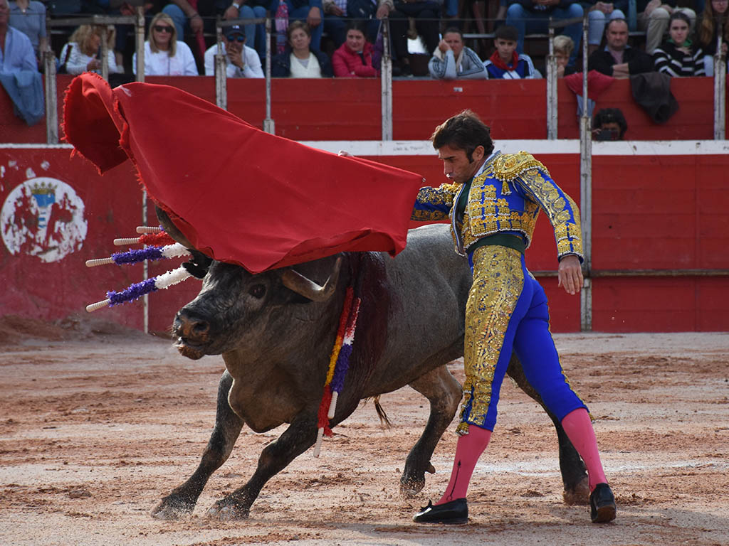 Pase de pecho de Fernando Robleño al toro de José Escolar en Riaza. / A.M.