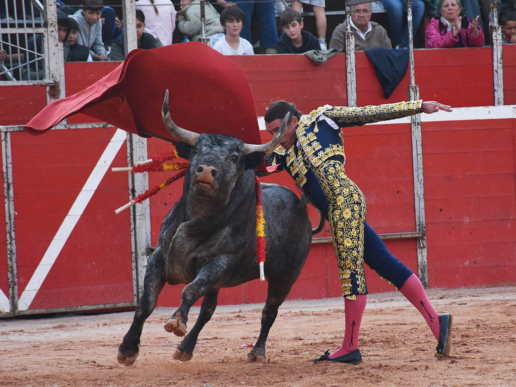 Pase de pecho de Sánchez Vara al toro de José Escolar en Riaza. / A.M.
