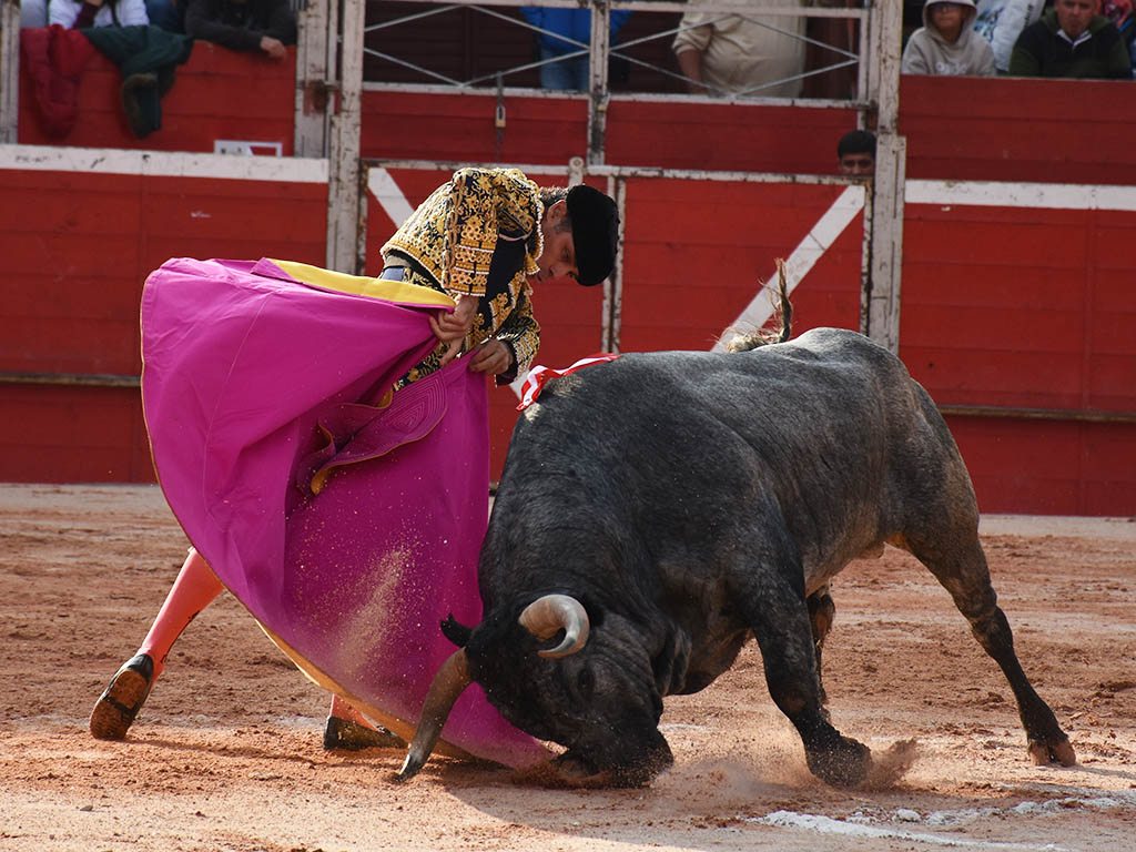 Media verónica de Sánchez Vara al segundo ejemplar de José Escolar. / A.M.