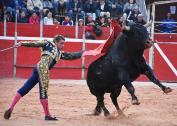 Pase de pecho de Sánchez Vara al toro de Valdellán en Riaza. / A.M.