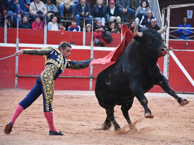 Pase de pecho de Sánchez Vara al toro de Valdellán en Riaza. / A.M.