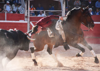 El jinete granadino Sebastián Fernández ofreció una gran dimensión en la Plaza de Toros de Riaza. / A.M.