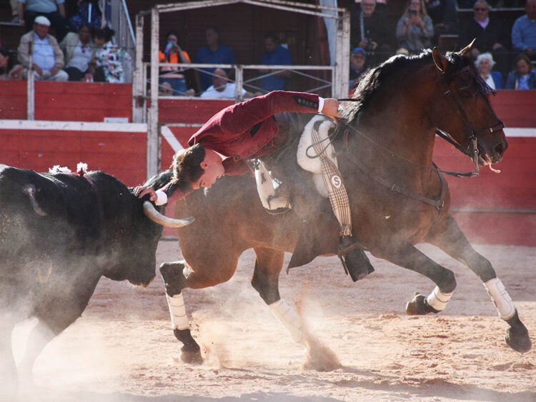 El jinete granadino Sebastián Fernández ofreció una gran dimensión en la Plaza de Toros de Riaza. / A.M.
