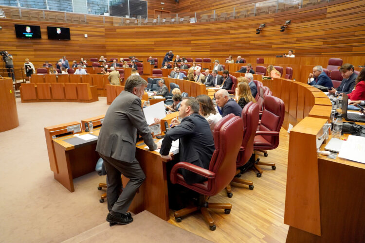 Pleno de las Cortes de Castilla y León