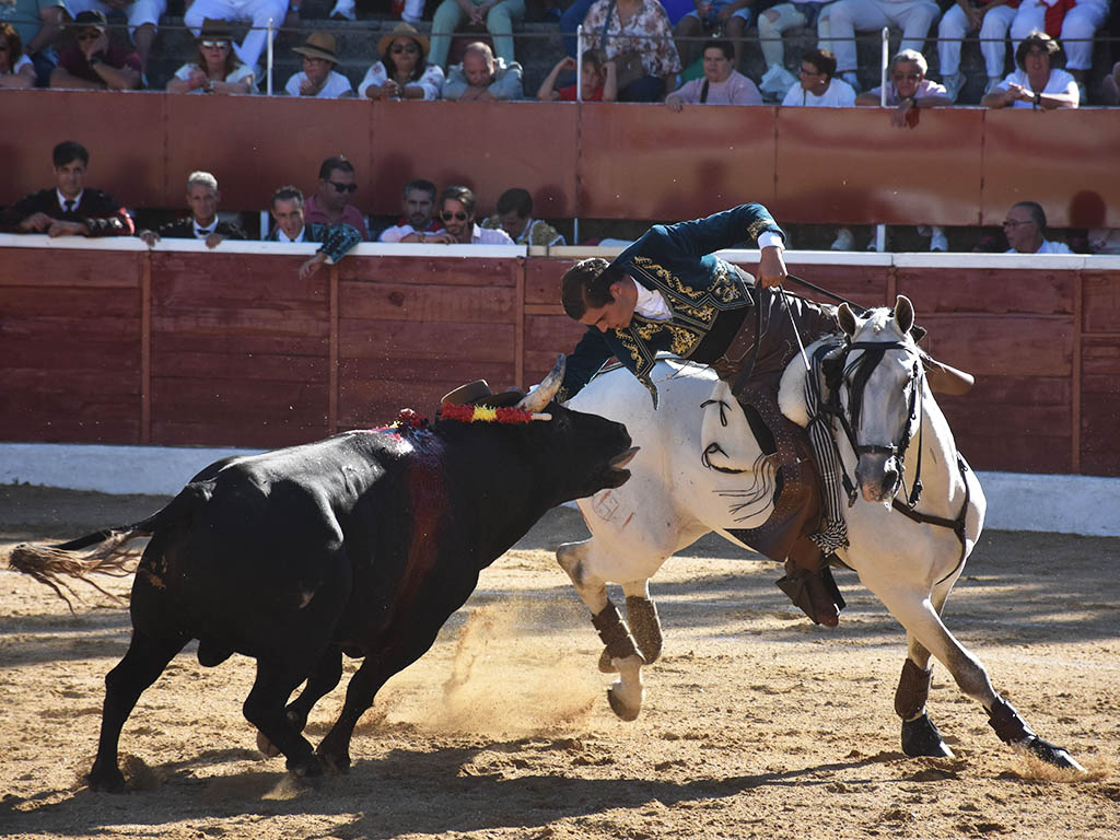 El salmantino Sergio Pérez, durante su actuación en Nava de la Asunción. / A.M