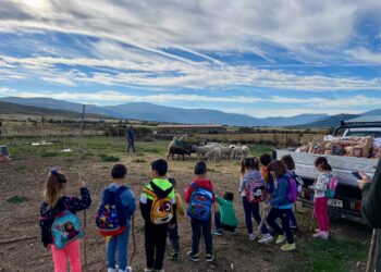 Recuperar el arraigo pastoril y lanar 16 web 1 1