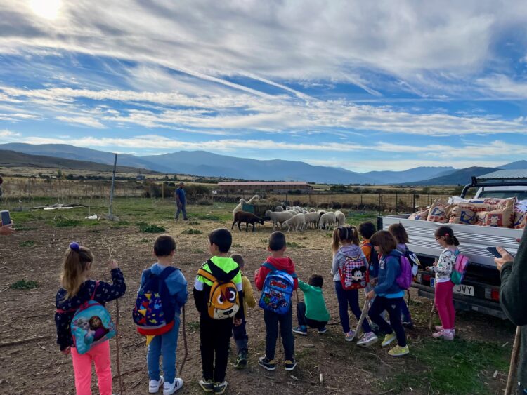 Recuperar el arraigo pastoril y lanar 1 web 1 1