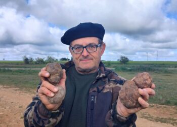 De alimento de pastores a producto gourmet 17 El profesor y director de la Cátedra de Micología de la Universidad de Valladolid, Andrés Oria de Rueda. ICAL