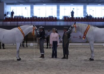 Ejemplares ganadores del Concurso Morfológico./ FEDERACIÓN